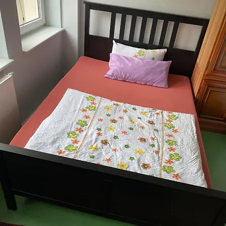 Lägenhet Wiesbaden Apartment